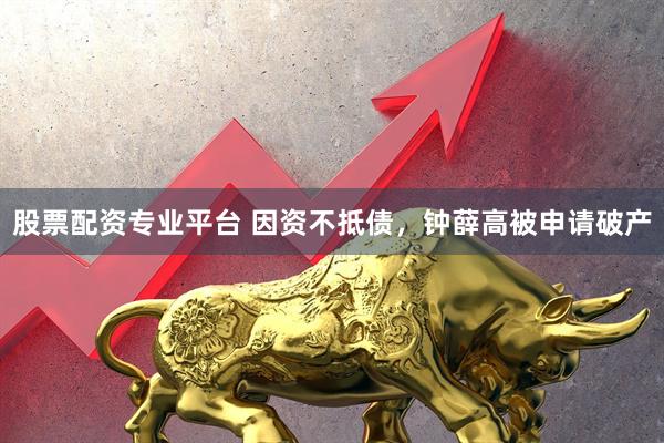 股票配资专业平台 因资不抵债，钟薛高被申请破产